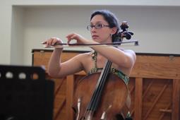 Close-up detail of cello strings and bridge